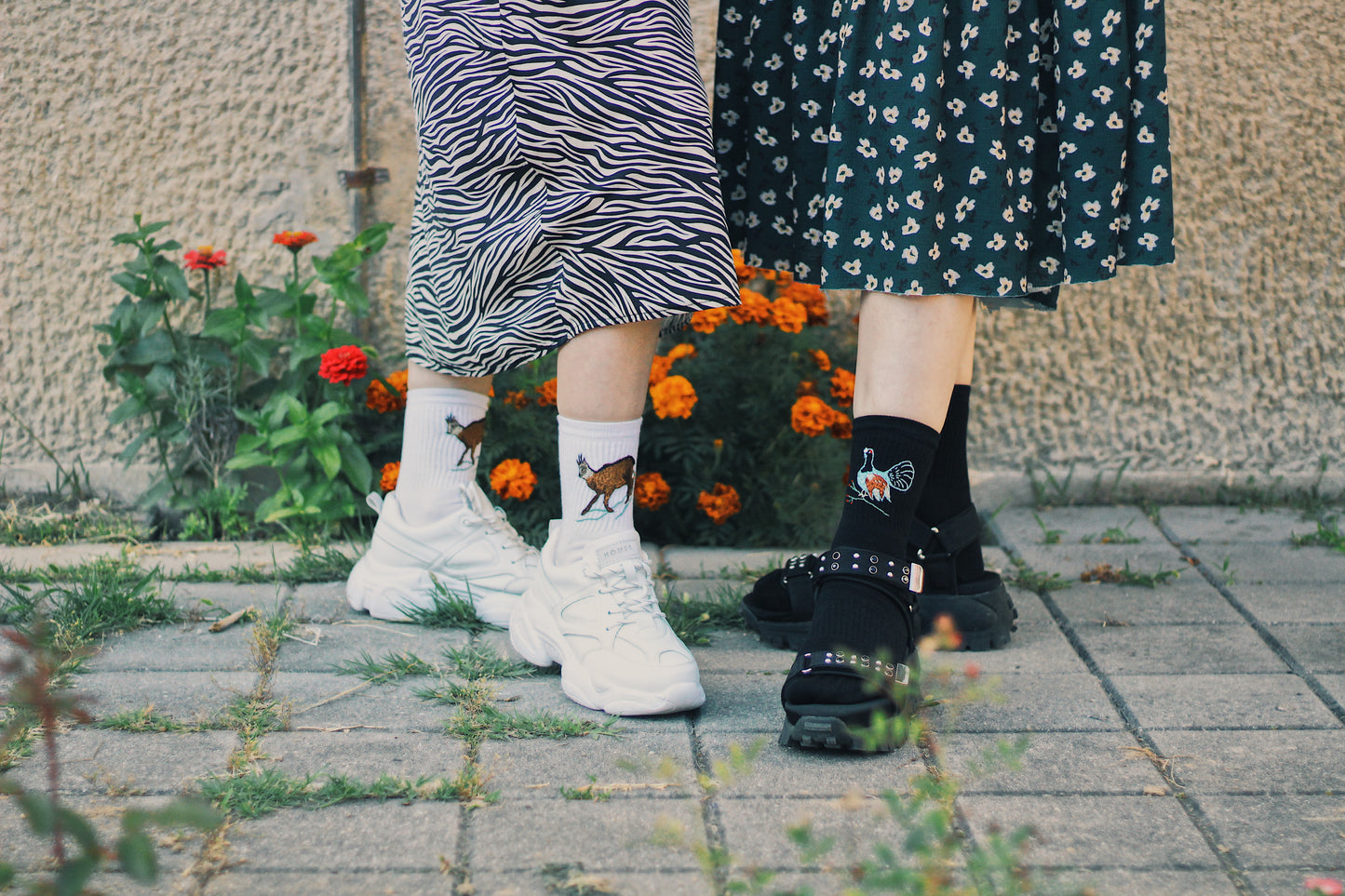 Socks With Hand Embroidered Motifs of Endangered and Edemic Species by Potka - Bazerdzan